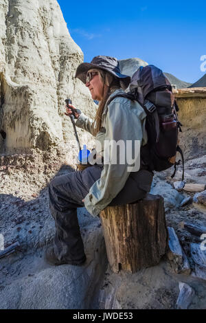 Karen Rentz in appoggio su una conifera pietrificato sezione eroso fuori del Morbida argilla ashy depositi nel Bisti/De-Na-Zin Deserto vicino a Farmington Foto Stock