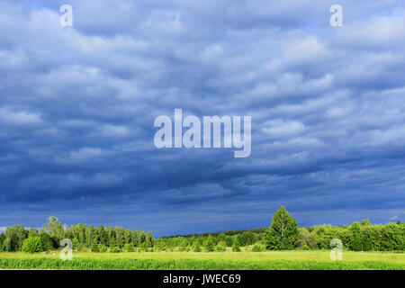Paesaggio con scure nuvole di pioggia sotto il bosco e prato Foto Stock