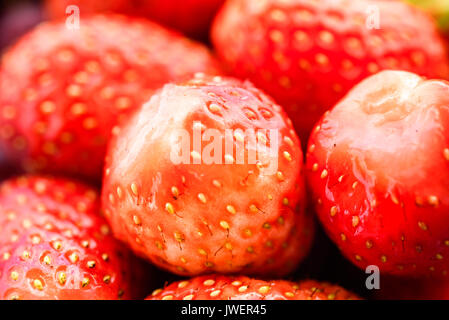 Fragola Makro texture Foto Stock