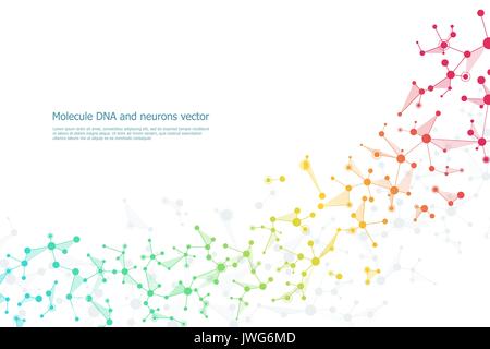 Struttura molecola di DNA e di neuroni, linee collegate con dei puntini, genetici e di composti chimici, illustrazione vettoriale. Illustrazione Vettoriale
