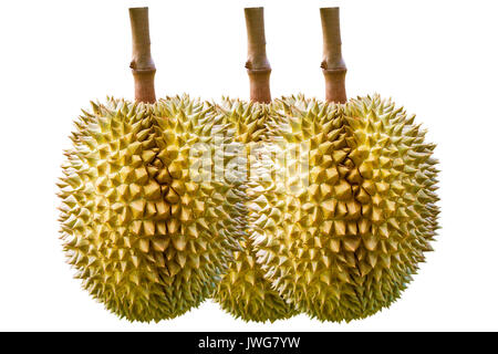 Durian su sfondo bianco. Foto Stock