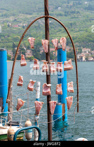 Pesce attaccato su rack a secco a Peschiera Maraglio, Monte Isola, Lago d'Iseo, Italia Foto Stock