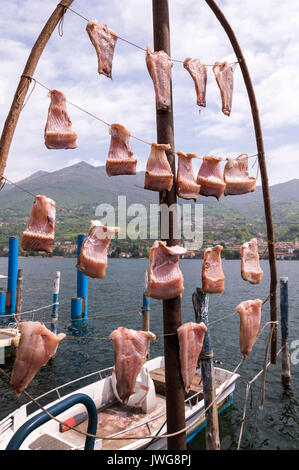 Pesce attaccato su rack a secco a Peschiera Maraglio, Monte Isola, Lago d'Iseo, Italia Foto Stock