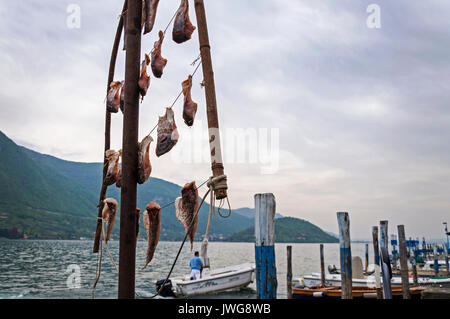 Pesce attaccato su rack a secco a Peschiera Maraglio, Monte Isola, Lago d'Iseo, Italia Foto Stock