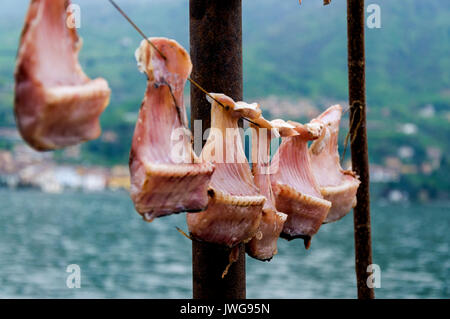 Pesce attaccato su rack a secco a Peschiera Maraglio, Monte Isola, Lago d'Iseo, Italia Foto Stock