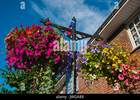 Colorati cestelli appesi su strada i lampioni Royal Wootton Bassett Wiltshire, Inghilterra REGNO UNITO Foto Stock