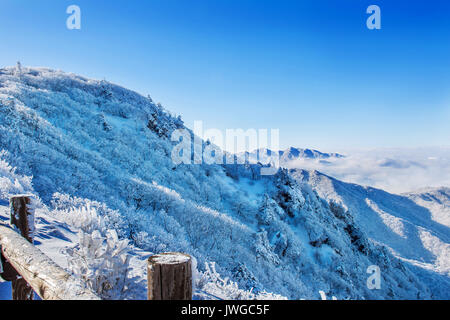 Seoraksan montagne è coperta dalla nebbia mattutina in inverno, Corea. Foto Stock