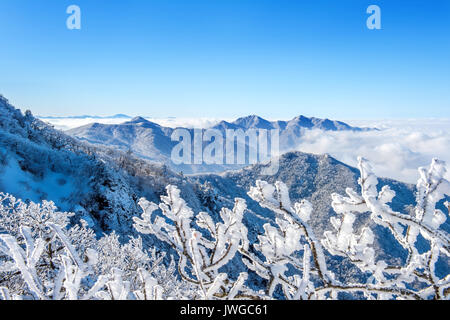 Seoraksan montagne è coperta dalla nebbia mattutina in inverno, Corea. Foto Stock