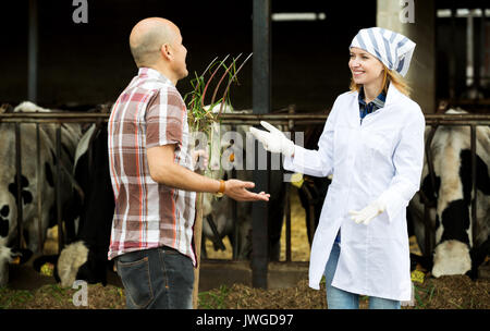 Coppia sorridente di veterinari lavora con latte di mucche vaccheria all'aperto Foto Stock