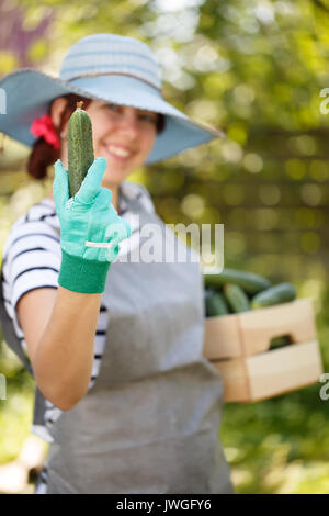 La donna trattiene il cetriolo in mano Foto Stock