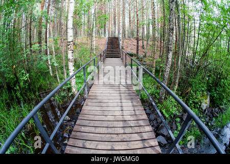 Ponte di sospensione nel parco. Foto Stock