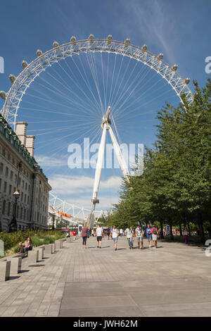 Il London Eye - una gigantesca ruota panoramica sulla riva sud del fiume Tamigi a Londra, Regno Unito Foto Stock