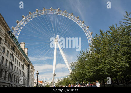Il London Eye - una gigantesca ruota panoramica sulla riva sud del fiume Tamigi a Londra, Regno Unito Foto Stock
