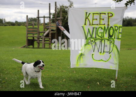 Luton, Regno Unito. 12 Ago, 2017. Amici di Wigmore Park e i residenti di Luton è venuto insieme per un picnic per mostrare quanto loro care Wigmore Valley Park. Luton Borough Consiglio propongono di costruire lì e sono dovuti a presentare una domanda di pianificazione per il nuovo secolo Park, a 70 acri di sviluppo commerciale con un 1.6 miglia di strada di accesso. Credito: NW Immagini/Alamy Live News Foto Stock