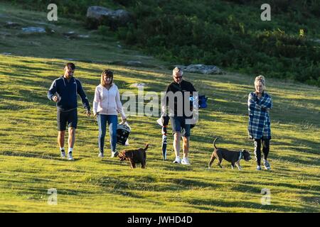 Haytor, Dartmoor Devon, Regno Unito. Il 12 agosto 2017. Regno Unito Meteo. Walker e i loro cani tornando indietro verso il basso il percorso da Haytor nel Darmoor National Park, Devon in una calda serata di sole. Photo credit: Graham Hunt/Alamy Live News Foto Stock