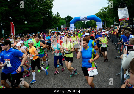 HELSINKI, Finlandia - 12 agosto 2017: Helsinki City Marathon, 12.08.2017. Tradizionale marathon svoltasi a Helsinki, Finlandia, sabato 12 agosto. Corridori provenienti da 73 paesi hanno preso parte alla Maratona. Iniziata la gara nei pressi del monumento al leggendario atleta finlandese Paavo Nurmi. Foto Stock