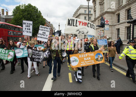 Londra, UK, 12 agosto 2017. Fare Badger abbattimento, la caccia alla volpe e pilotato Caccia al gallo cedrone storia. Migliaia hanno marciato attraverso il centro di Londra a Downing Street in una protesta pacifica per interrompere la crudeltà nei confronti degli animali. Il mese di marzo si è svolta in concomitanza con l inizio della Caccia al gallo cedrone stagione, all'inizio del quinto anno di badger abbattimenti, e le continue uccisioni illegali di cuccioli di Fox. Credito: Steve Bell/Alamy Live News Foto Stock