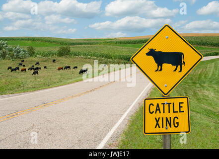 Attraversamento del bestiame segno: automobilisti nel sud del Wisconsin sono invitati a guardare per il bestiame sulla strada. . Foto Stock