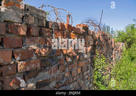 Vecchi mattoni distrutti recinto con filo spinato sul campo. parte del muro di mattoni in rovina Foto Stock