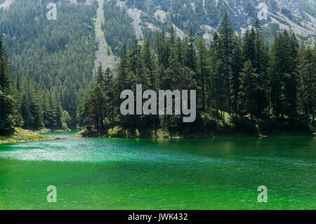 Il lago verde nelle Alpi austriache Foto Stock