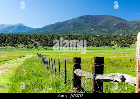 Il pascolo, filo spinato & Metodista di montagna; Vandaveer Ranch; Salida; Colorado; USA Foto Stock