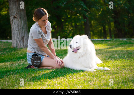 Una donna adulta con capelli rossi suona e accarezza il suo cane di razza Samoiedo. Bianchi e soffici pet in un parco con padrona su un prato verde divertimento. Foto Stock