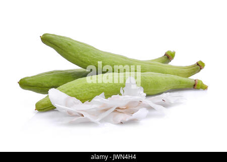 Tabebuia aurea pods isolati su sfondo bianco Foto Stock