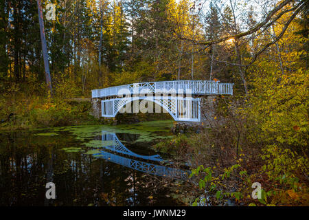 White ponte in legno sul piccolo fiume. Alberi con foglie di autunno sopra l'acqua coperti da lenti d'acqua. Parco tranquillo e soleggiato tempo di caduta. Foto Stock