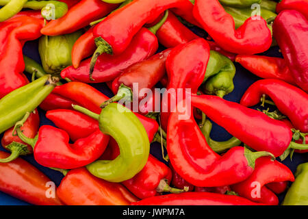 Bin di rosso e peperoncini verdi in un mercato ortofrutticolo Foto Stock