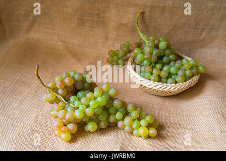 Grappoli di uva da Vinalopo. Alicante, Spagna. Foto Stock