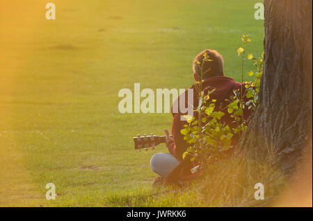 Suonare la chitarra al sole in un parco di Londra Foto Stock