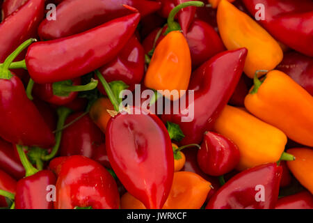 Una tabella è riempita con il giallo e il rosso peperoni poblano per la vendita in un mercato di Istanbul Foto Stock