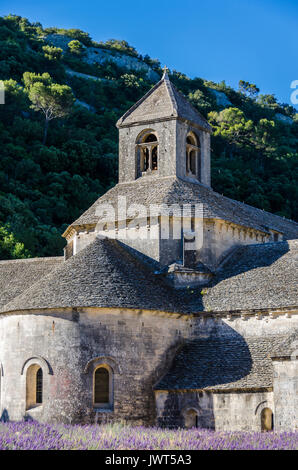 ABBAYE DE SENANQUE, VAUCLUSE 84 FRANCIA Foto Stock