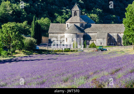 ABBAYE DE SENANQUE, VAUCLUSE 84 FRANCIA Foto Stock