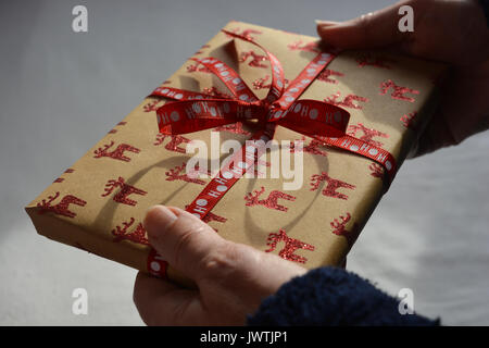 Regalo di natale in una donna di mani Foto Stock