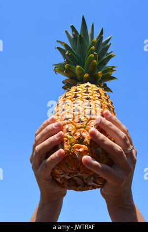 Ananas in una donna di mani, contro il Cielo di estate blu Foto Stock