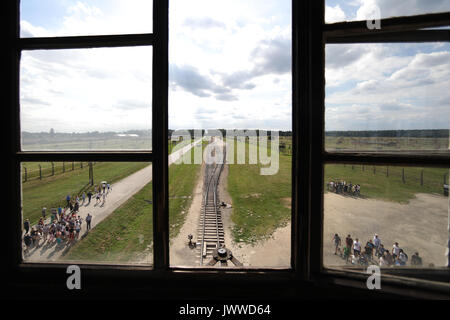 I visitatori a piedi in tutta l'ex campo di concentramento di Auschwitz-Birkenau Oswiecim, Polonia, 26 giugno 2017, fotografata attraverso una finestra della torre di avvistamento. La grande organizzazione paramilitare nella Germania nazista, SS (Schutzstaffel, lit. "Protezione squadrone"), ha eseguito la concentrazione e la morte camp tra 1940 e 1945. Deportati in entrata sono stati selezionati in diversi gruppi sulla rampa tra le tracce subito dopo sono arrivati a Birkenau. Le persone che non erano in grado di lavorare (anziani, deboli, le donne e i bambini) talvolta sono stati inviati alle camere a gas direttamente senza registrazione. Circa 1,1 A Foto Stock