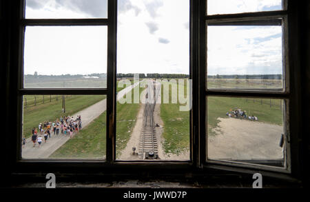 I visitatori a piedi in tutta l'ex campo di concentramento di Auschwitz-Birkenau Oswiecim, Polonia, 26 giugno 2017, fotografata attraverso una finestra della torre di avvistamento. La grande organizzazione paramilitare nella Germania nazista, SS (Schutzstaffel, lit. "Protezione squadrone"), ha eseguito la concentrazione e la morte camp tra 1940 e 1945. Deportati in entrata sono stati selezionati in diversi gruppi sulla rampa tra le tracce subito dopo sono arrivati a Birkenau. Le persone che non erano in grado di lavorare (anziani, deboli, le donne e i bambini) talvolta sono stati inviati alle camere a gas direttamente senza registrazione. Circa 1,1 A Foto Stock