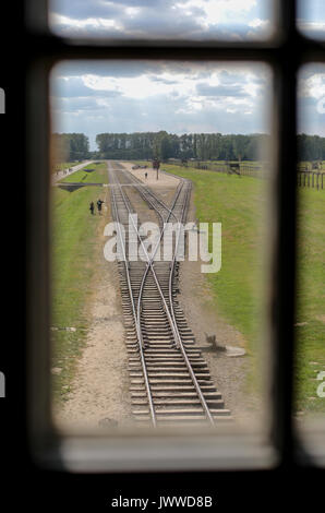 I visitatori a piedi in tutta l'ex campo di concentramento di Auschwitz-Birkenau Oswiecim, Polonia, 26 giugno 2017, fotografata attraverso una finestra della torre di avvistamento. La grande organizzazione paramilitare nella Germania nazista, SS (Schutzstaffel, lit. "Protezione squadrone"), ha eseguito la concentrazione e la morte camp tra 1940 e 1945. Deportati in entrata sono stati selezionati in diversi gruppi sulla rampa tra le tracce subito dopo sono arrivati a Birkenau. Le persone che non erano in grado di lavorare (anziani, deboli, le donne e i bambini) talvolta sono stati inviati alle camere a gas direttamente senza registrazione. Circa 1,1 A Foto Stock