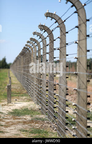 Il filo spinato recinzioni che sono sotto alta tensione può essere visto all'ex campo di concentramento di Auschwitz-Birkenau Oswiecim, Polonia, 21 giugno 2017. La grande organizzazione paramilitare nella Germania nazista, SS (Schutzstaffel, lit. "Protezione squadrone"), ha eseguito la concentrazione e la morte camp tra 1940 e 1945. Deportati in entrata sono stati selezionati in diversi gruppi sulla rampa tra le tracce subito dopo sono arrivati a Birkenau. Le persone che non erano in grado di lavorare (anziani, deboli, le donne e i bambini) talvolta sono stati inviati alle camere a gas direttamente senza registrazione. Circa 1,1 a 1. Foto Stock