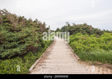 La spiaggia di Robinsons isola su PEI Canada Foto Stock