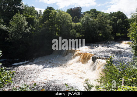 Aysgarth Falls, Wensleydale, Yorkshire Dales, England, Regno Unito Foto Stock