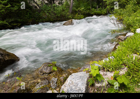 Il granito Creek correre più rapide in un veloce movimento di sezione del Canyon di granito nel Teton Mountains. Il Parco Nazionale del Grand Teton, Wyoming Foto Stock