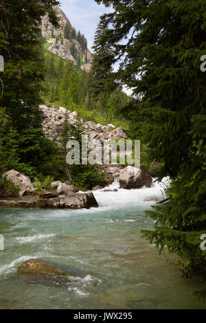 Il granito Creek avvolgimento attraverso alberi sempreverdi sotto le pareti di granito Canyon nel Teton Mountains. Il Parco Nazionale del Grand Teton, Wyoming Foto Stock