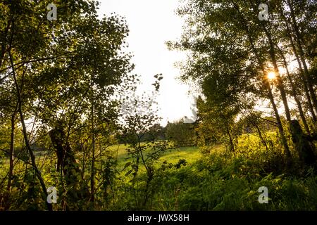 Bella paesaggio Teufelsmoor vicino Brema - Gemany Foto Stock