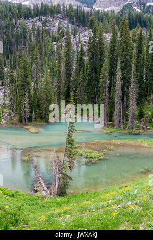 Grandi scogliere rocciose e massi rompendo il bosco sopra il granito Creek nel Teton Mountains. Il Parco Nazionale del Grand Teton, Wyoming Foto Stock