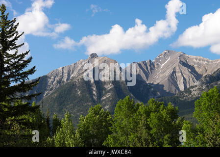 Rocky Mountain Range a inizio estate vicino a Canmore con boschi di latifoglie e conifere Pineta Il Parco Nazionale di Banff Alberta Canada Foto Stock