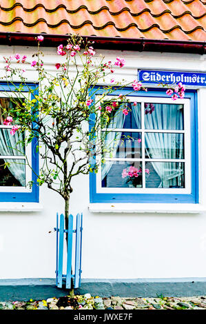 Schleswig, Holm, das Viertel der Fischer; Schleswig, il quartiere di pesca Holm Foto Stock