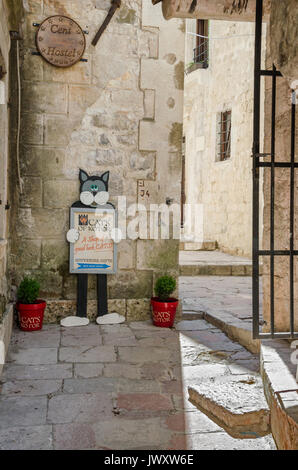 Kotor, Montenegro - Giugno 8, 2017: una tipica vista in uno dei vicoli stretti in una molto amichevole turisti città vecchia di Kotor con un negozio segno di un gatto. Foto Stock