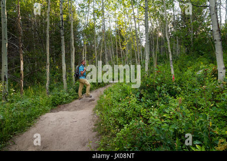 Un maschio di escursionista in piedi la Taggart Sentiero del lago di pausa per ammirare l'Aspen alberi e fiori selvatici come il sole comincia a set. Il Parco Nazionale del Grand Teton, Foto Stock